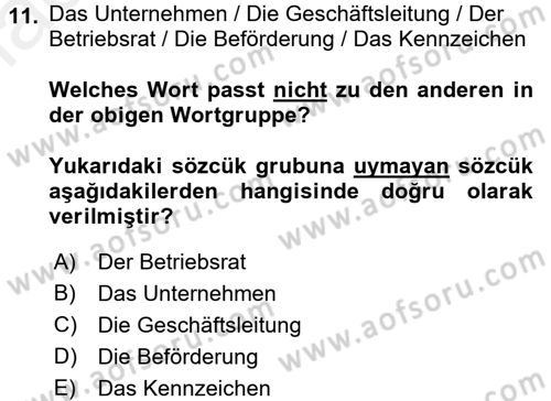 Almanca 2 Dersi 2017 - 2018 Yılı (Final) Dönem Sonu Sınav Soruları 11. Soru