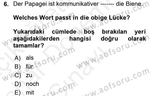 Almanca 2 Dersi 2017 - 2018 Yılı (Final) Dönem Sonu Sınav Soruları 6. Soru
