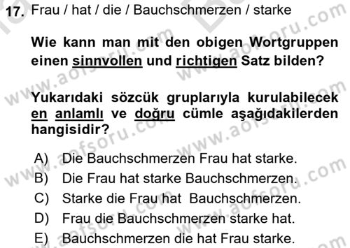 Almanca 2 Dersi 2021 - 2022 Yılı (Vize) Ara Sınav Soruları 17. Soru
