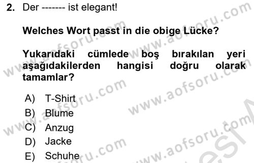 Almanca 2 Dersi 2021 - 2022 Yılı (Final) Dönem Sonu Sınav Soruları 2. Soru