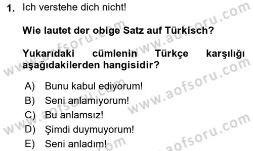 Almanca 2 Dersi 2021 - 2022 Yılı Yaz Okulu Sınav Soruları 1. Soru