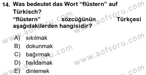 Almanca 2 Dersi 2021 - 2022 Yılı Yaz Okulu Sınav Soruları 14. Soru