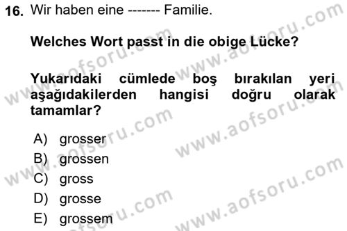 Almanca 2 Dersi 2022 - 2023 Yılı Yaz Okulu Sınav Soruları 16. Soru