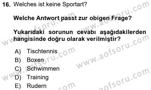 Almanca 2 Dersi 2023 - 2024 Yılı (Vize) Ara Sınav Soruları 16. Soru