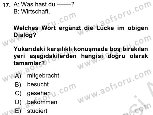 Almanca 2 Dersi 2023 - 2024 Yılı (Vize) Ara Sınav Soruları 17. Soru
