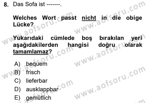 Almanca 2 Dersi 2023 - 2024 Yılı (Vize) Ara Sınav Soruları 8. Soru