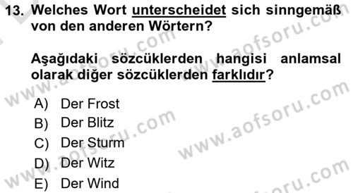 Almanca 2 Dersi 2023 - 2024 Yılı (Final) Dönem Sonu Sınav Soruları 13. Soru