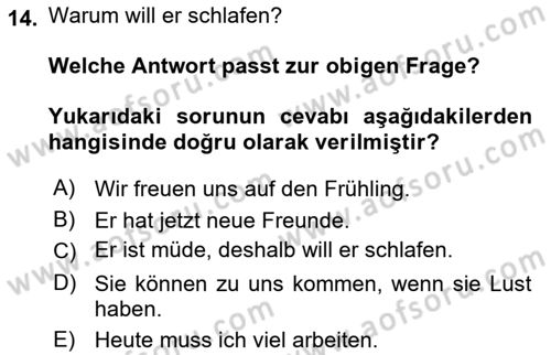 Almanca 2 Dersi 2023 - 2024 Yılı (Final) Dönem Sonu Sınav Soruları 14. Soru