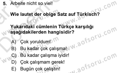 Almanca 2 Dersi 2023 - 2024 Yılı (Final) Dönem Sonu Sınav Soruları 5. Soru