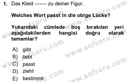 Almanca 2 Dersi 2023 - 2024 Yılı Yaz Okulu Sınav Soruları 1. Soru