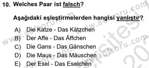 Almanca 2 Dersi 2023 - 2024 Yılı Yaz Okulu Sınav Soruları 10. Soru