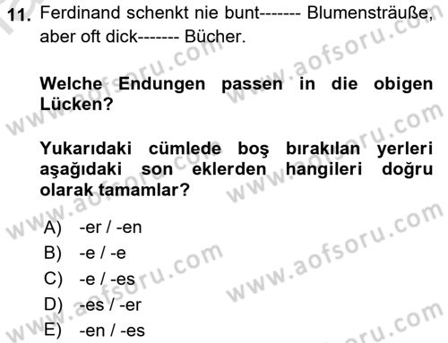 Almanca 2 Dersi 2023 - 2024 Yılı Yaz Okulu Sınav Soruları 11. Soru
