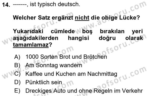 Almanca 2 Dersi 2023 - 2024 Yılı Yaz Okulu Sınav Soruları 14. Soru