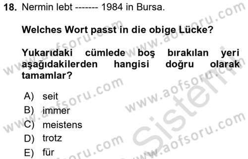 Almanca 2 Dersi 2023 - 2024 Yılı Yaz Okulu Sınav Soruları 18. Soru
