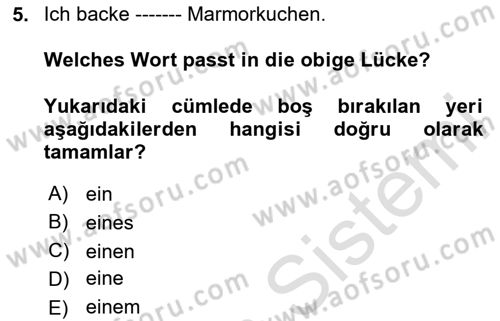 Almanca 2 Dersi 2023 - 2024 Yılı Yaz Okulu Sınav Soruları 5. Soru