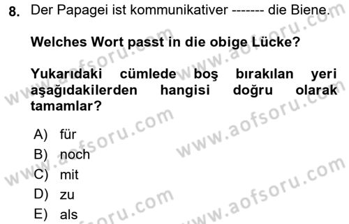 Almanca 2 Dersi 2023 - 2024 Yılı Yaz Okulu Sınav Soruları 8. Soru
