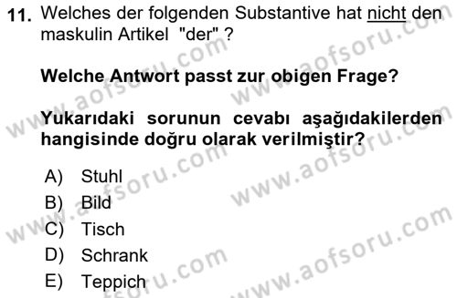 Almanca 2 Dersi 2024 - 2025 Yılı (Vize) Ara Sınav Soruları 11. Soru