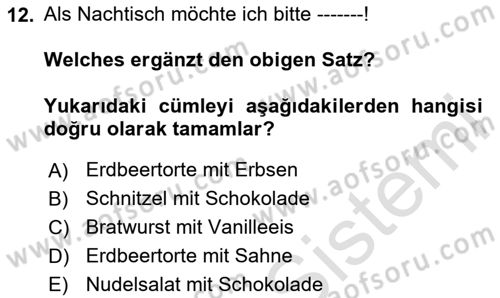 Almanca 2 Dersi 2024 - 2025 Yılı (Vize) Ara Sınav Soruları 12. Soru