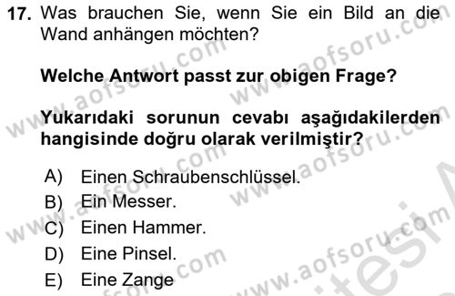 Almanca 2 Dersi 2024 - 2025 Yılı (Vize) Ara Sınav Soruları 17. Soru
