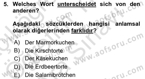 Almanca 2 Dersi 2024 - 2025 Yılı (Vize) Ara Sınav Soruları 5. Soru