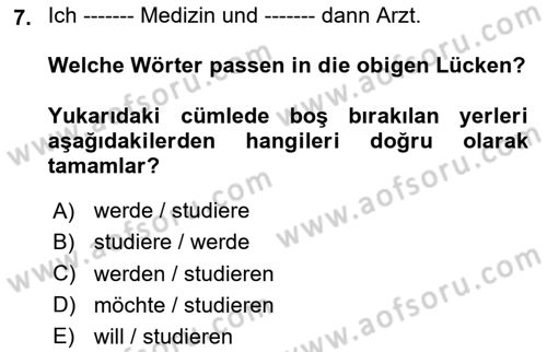 Almanca 2 Dersi 2024 - 2025 Yılı (Vize) Ara Sınav Soruları 7. Soru