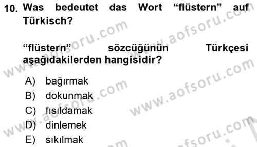 Almanca 2 Dersi 2024 - 2025 Yılı Yaz Okulu Sınav Soruları 10. Soru