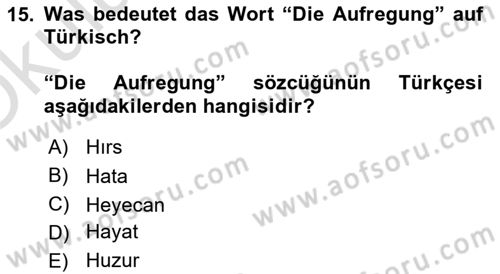 Almanca 2 Dersi 2024 - 2025 Yılı Yaz Okulu Sınav Soruları 15. Soru