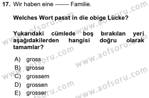 Almanca 2 Dersi 2024 - 2025 Yılı Yaz Okulu Sınav Soruları 17. Soru