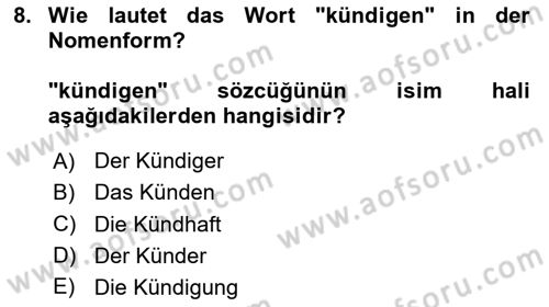 Almanca 2 Dersi 2024 - 2025 Yılı Yaz Okulu Sınav Soruları 8. Soru