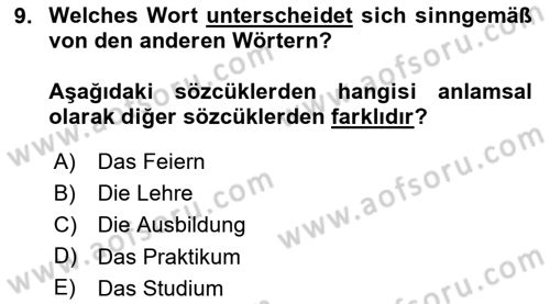 Almanca 2 Dersi 2024 - 2025 Yılı Yaz Okulu Sınav Soruları 9. Soru