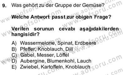 Turizm İçin Almanca 2 Dersi 2013 - 2014 Yılı (Vize) Ara Sınav Soruları 9. Soru