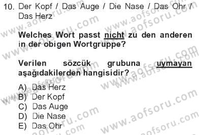 Almanca 1 Dersi 2012 - 2013 Yılı Tek Ders Sınav Soruları 10. Soru