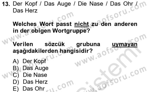 Almanca 1 Dersi 2013 - 2014 Yılı Tek Ders Sınav Soruları 13. Soru