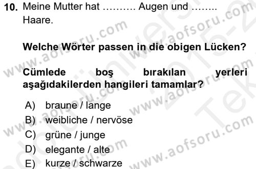 Almanca 1 Dersi 2015 - 2016 Yılı Tek Ders Sınav Soruları 10. Soru