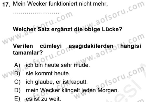Almanca 1 Dersi 2015 - 2016 Yılı Tek Ders Sınav Soruları 17. Soru