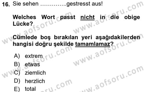 Almanca 1 Dersi 2016 - 2017 Yılı 3 Ders Sınav Soruları 16. Soru