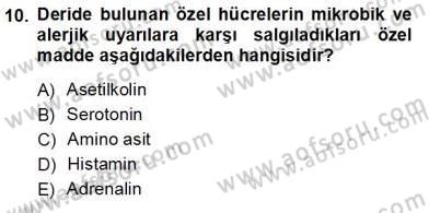 İnsan Anatomisi Ve Fizyolojisi Dersi Ara Sınavı Deneme Sınav Soruları 10. Soru