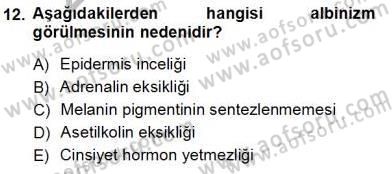İnsan Anatomisi Ve Fizyolojisi Dersi 2012 - 2013 Yılı (Vize) Ara Sınav Soruları 12. Soru