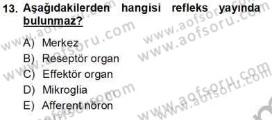 İnsan Anatomisi Ve Fizyolojisi Dersi Ara Sınavı Deneme Sınav Soruları 13. Soru