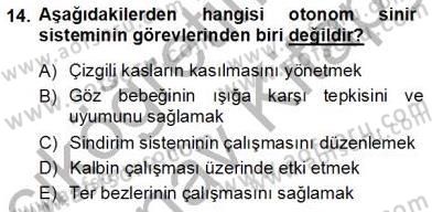 İnsan Anatomisi Ve Fizyolojisi Dersi Ara Sınavı Deneme Sınav Soruları 14. Soru