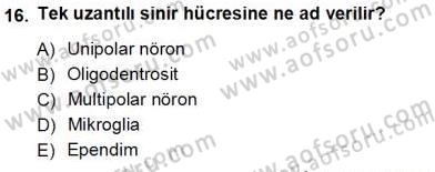 İnsan Anatomisi Ve Fizyolojisi Dersi Ara Sınavı Deneme Sınav Soruları 16. Soru