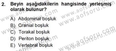 İnsan Anatomisi Ve Fizyolojisi Dersi Ara Sınavı Deneme Sınav Soruları 2. Soru