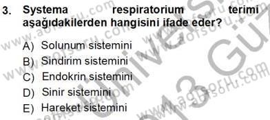 İnsan Anatomisi Ve Fizyolojisi Dersi Ara Sınavı Deneme Sınav Soruları 3. Soru