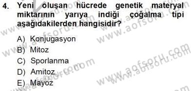 İnsan Anatomisi Ve Fizyolojisi Dersi Ara Sınavı Deneme Sınav Soruları 4. Soru