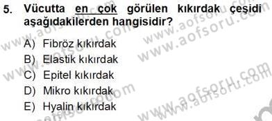 İnsan Anatomisi Ve Fizyolojisi Dersi Ara Sınavı Deneme Sınav Soruları 5. Soru