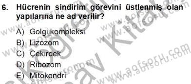İnsan Anatomisi Ve Fizyolojisi Dersi Ara Sınavı Deneme Sınav Soruları 6. Soru