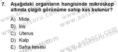 İnsan Anatomisi Ve Fizyolojisi Dersi Ara Sınavı Deneme Sınav Soruları 7. Soru