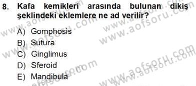 İnsan Anatomisi Ve Fizyolojisi Dersi Ara Sınavı Deneme Sınav Soruları 8. Soru