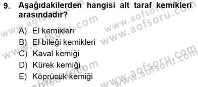 İnsan Anatomisi Ve Fizyolojisi Dersi Ara Sınavı Deneme Sınav Soruları 9. Soru