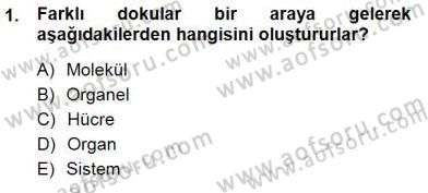 İnsan Anatomisi Ve Fizyolojisi Dersi 2012 - 2013 Yılı (Final) Dönem Sonu Sınav Soruları 1. Soru